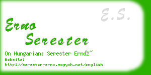 erno serester business card